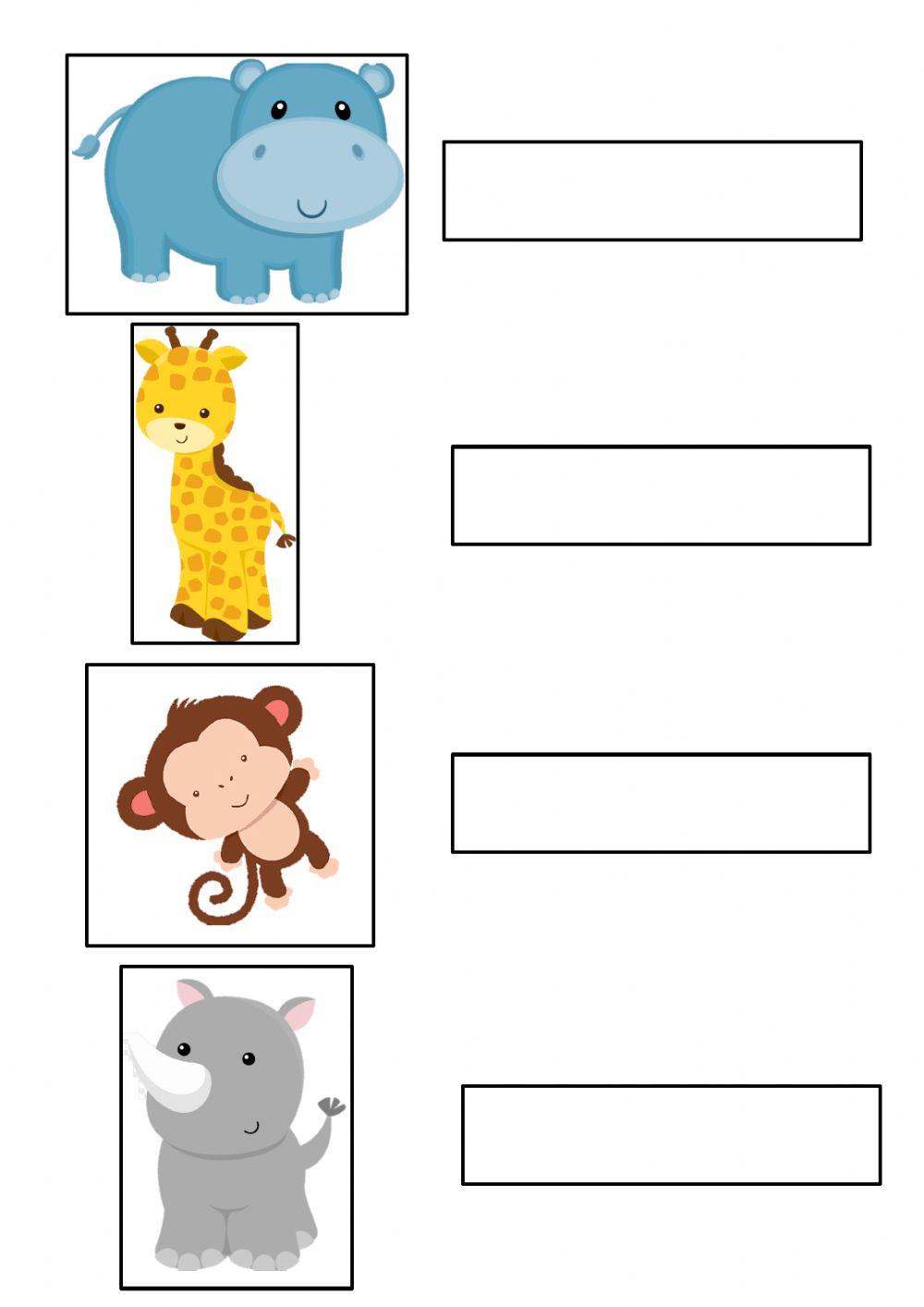 Animals in the jungle