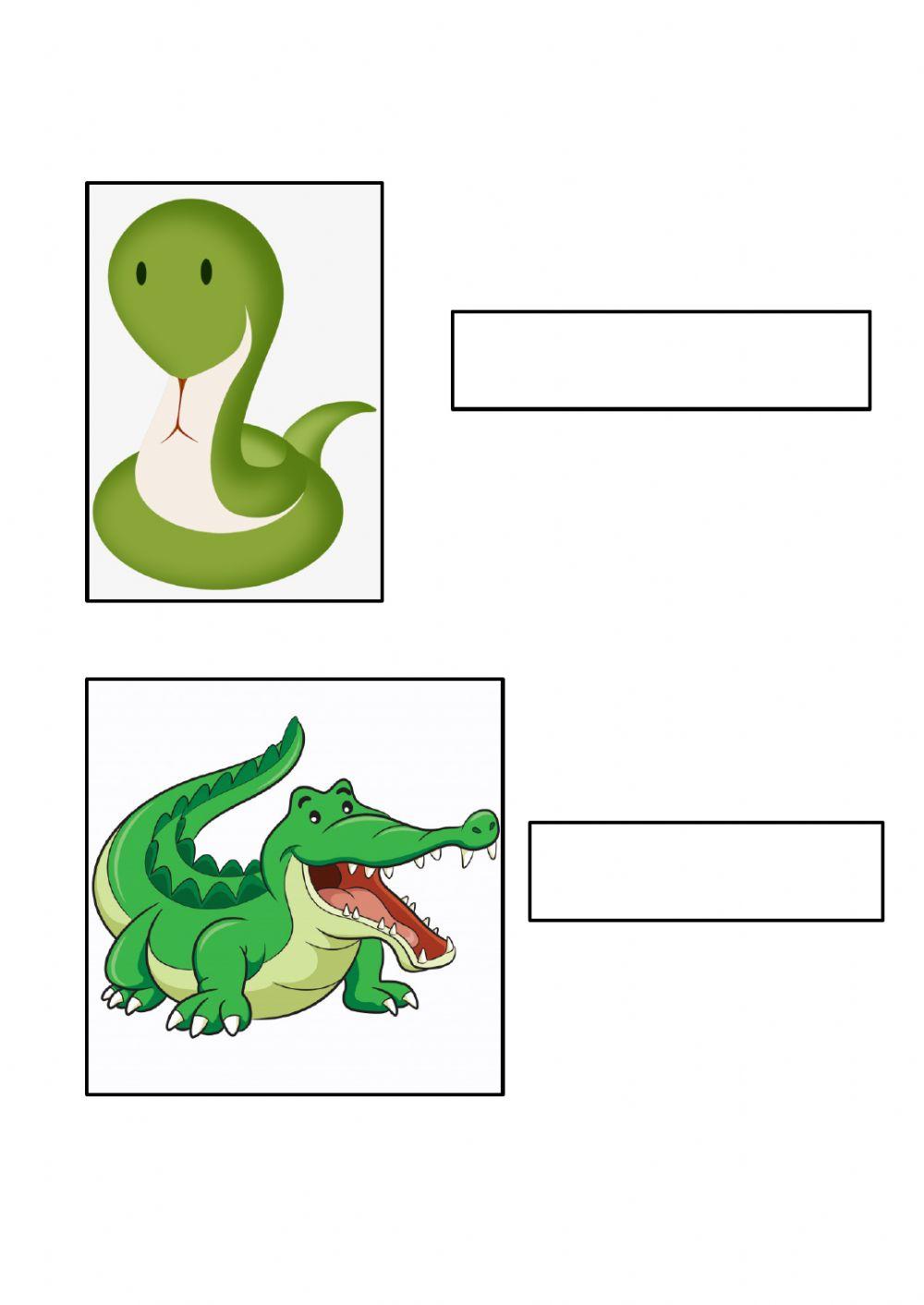 Animals in the jungle