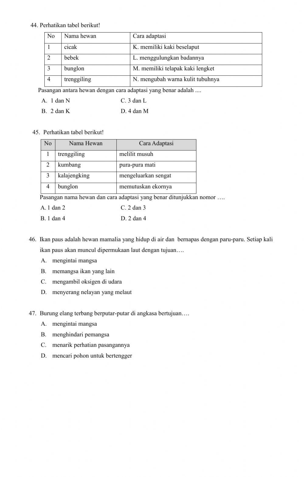 Adaptasi Makhluk Hidup