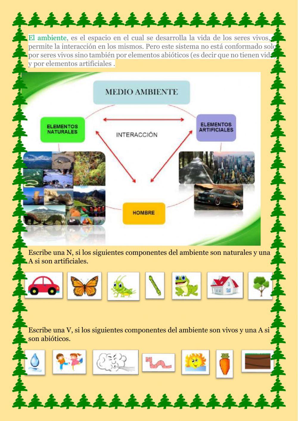 Interacciones entre los componentes del ambiente