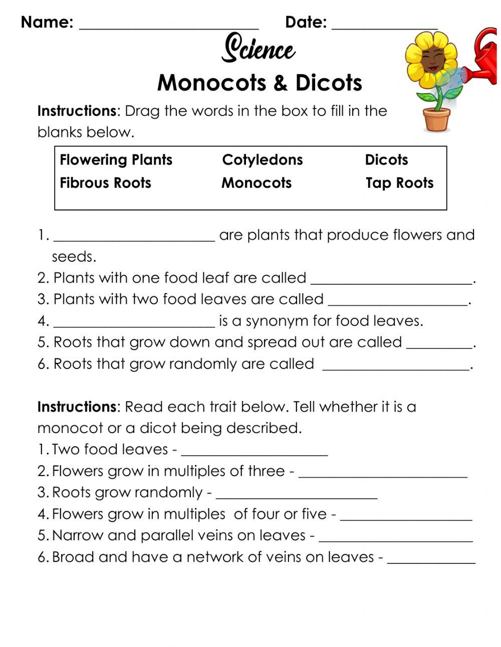 Monocots & Dicots