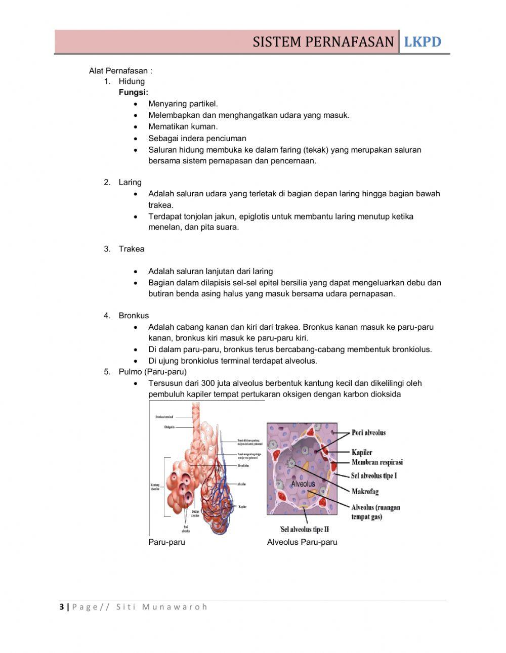Tugas Diklat LKPD Biologi