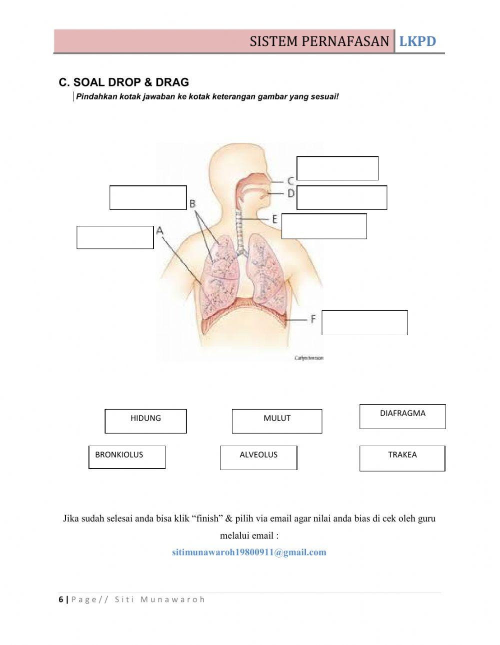 Tugas Diklat LKPD Biologi
