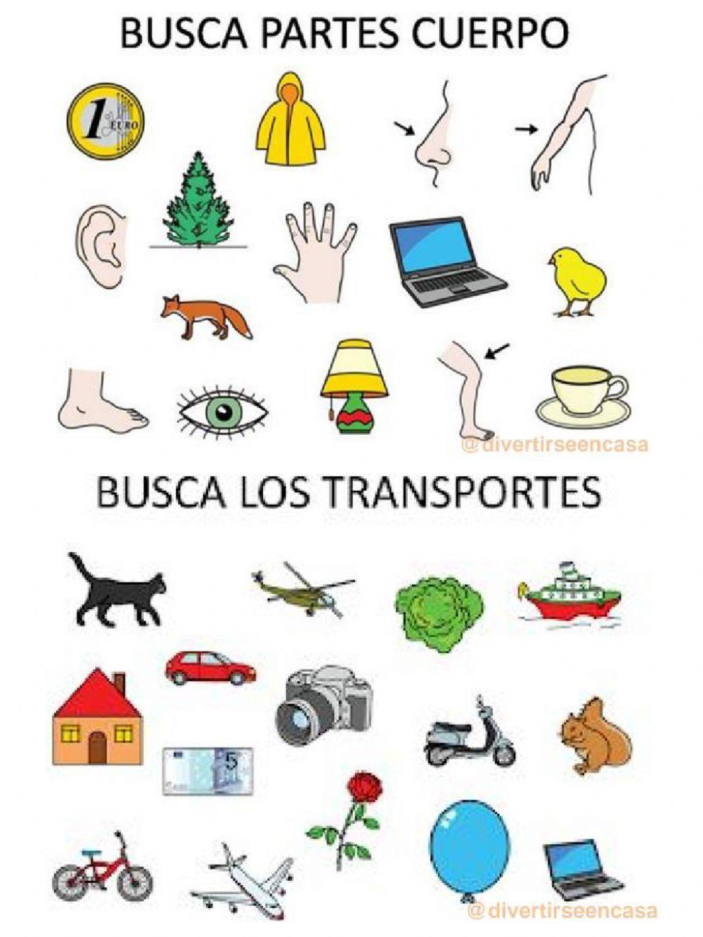 Los sentidos, identificar las respuestas