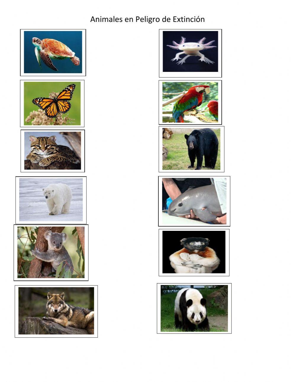 Animales en Peligro de Extinción