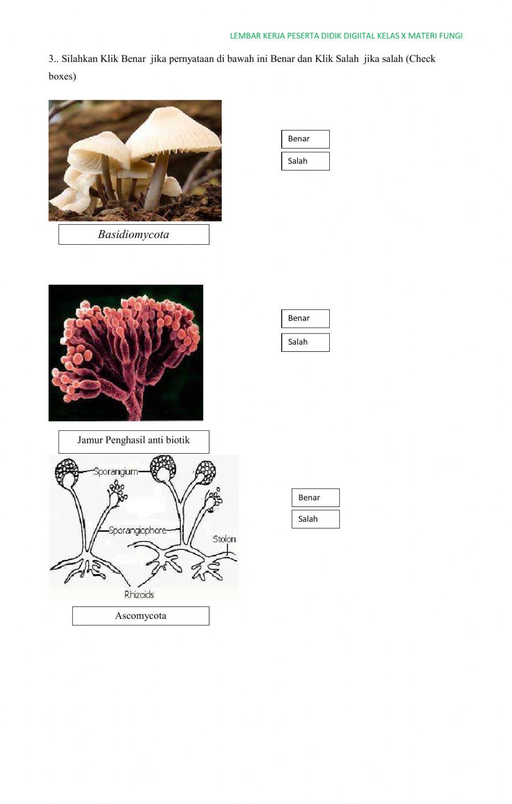Latihan Diklat LKPD digital