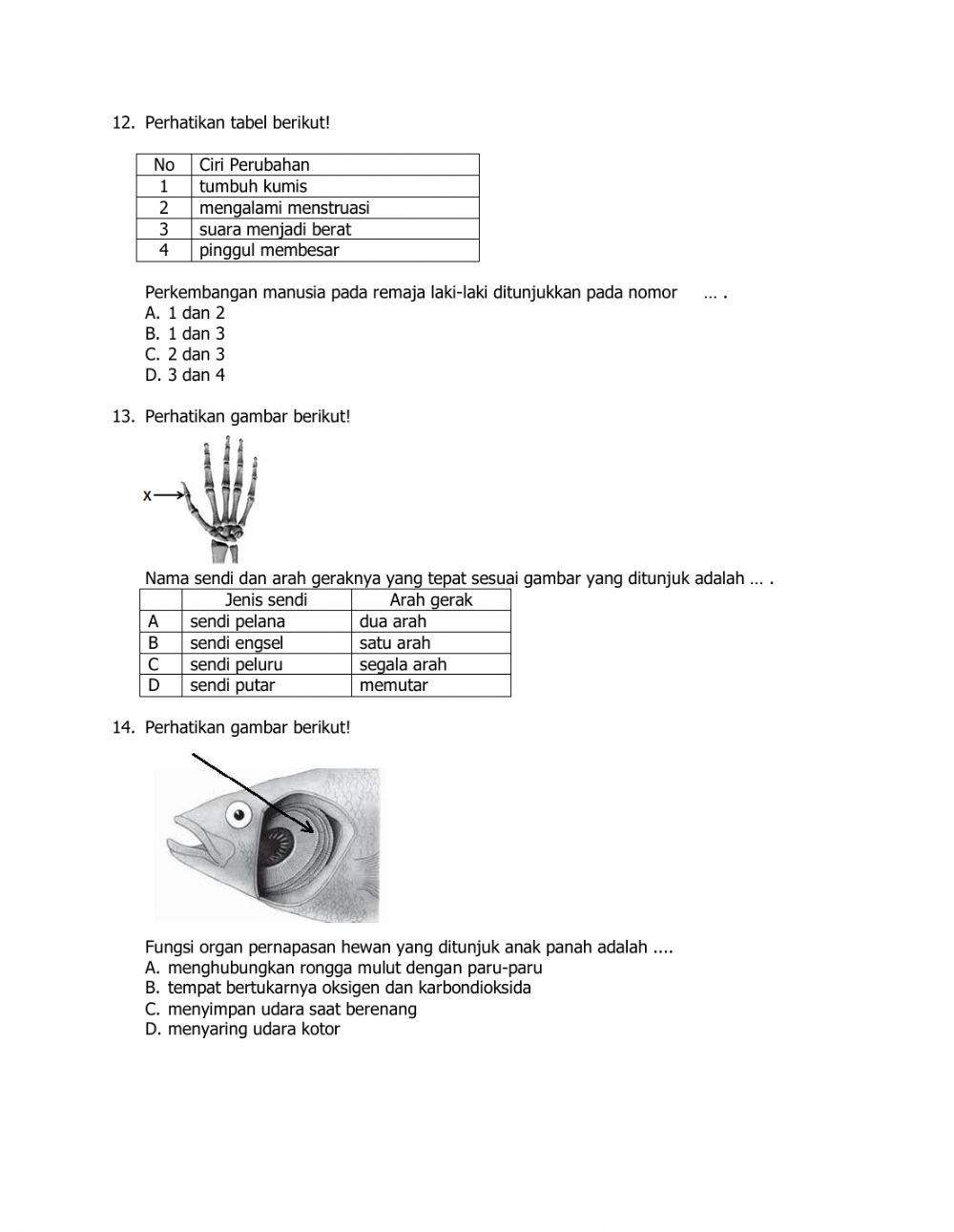 Ilmu Pengetahuan Alam