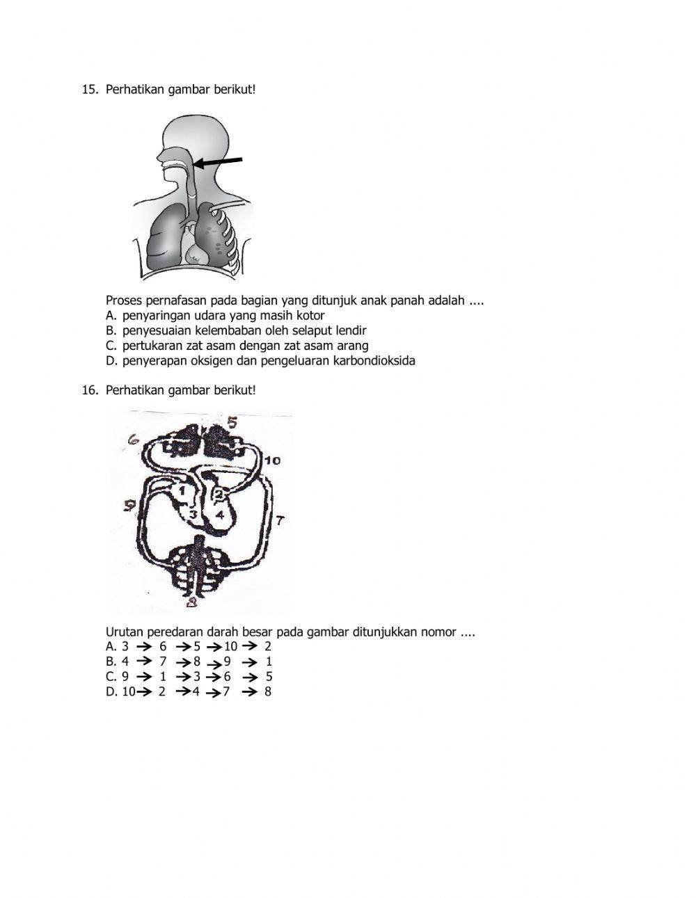 Ilmu Pengetahuan Alam