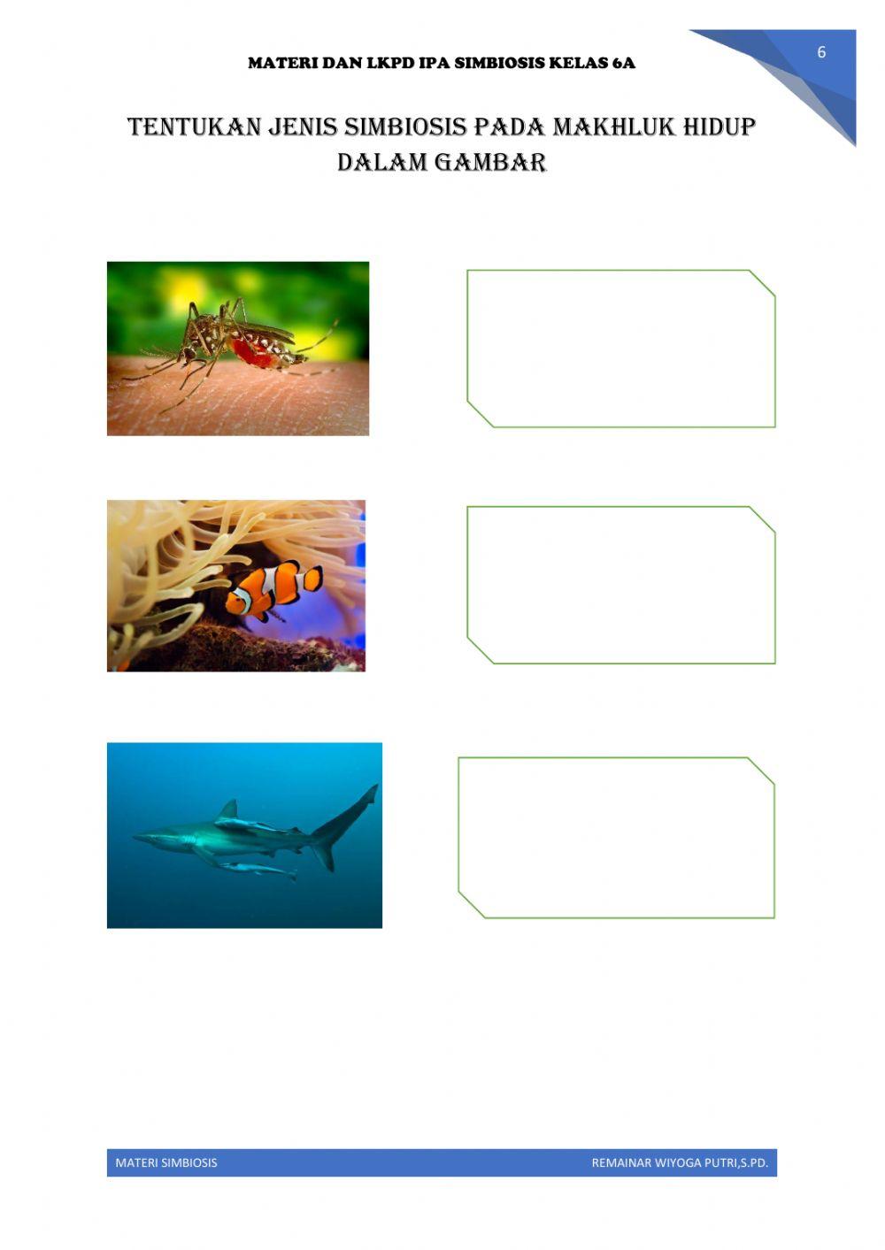 Materi ipa simbiosis diklat 20