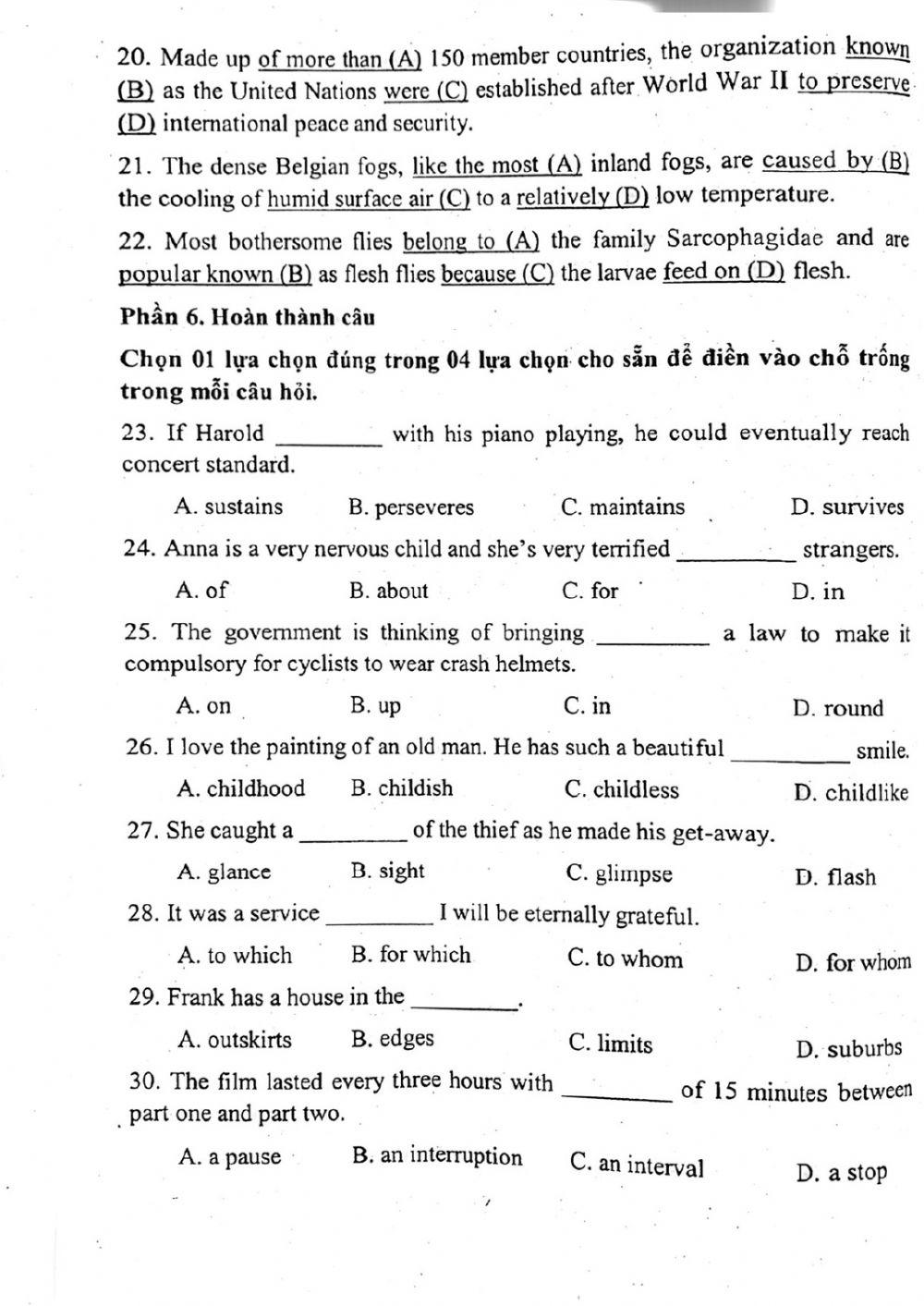 Đề thi đánh giá năng lực ngoại ngữ Tiếng Anh vào lớp 10 Chuyên ngoại ngữ - Số 4.1
