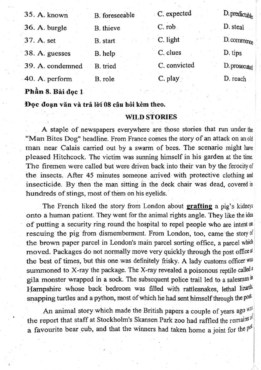 Đề thi đánh giá năng lực ngoại ngữ Tiếng Anh vào lớp 10 Chuyên ngoại ngữ - Số 4.1