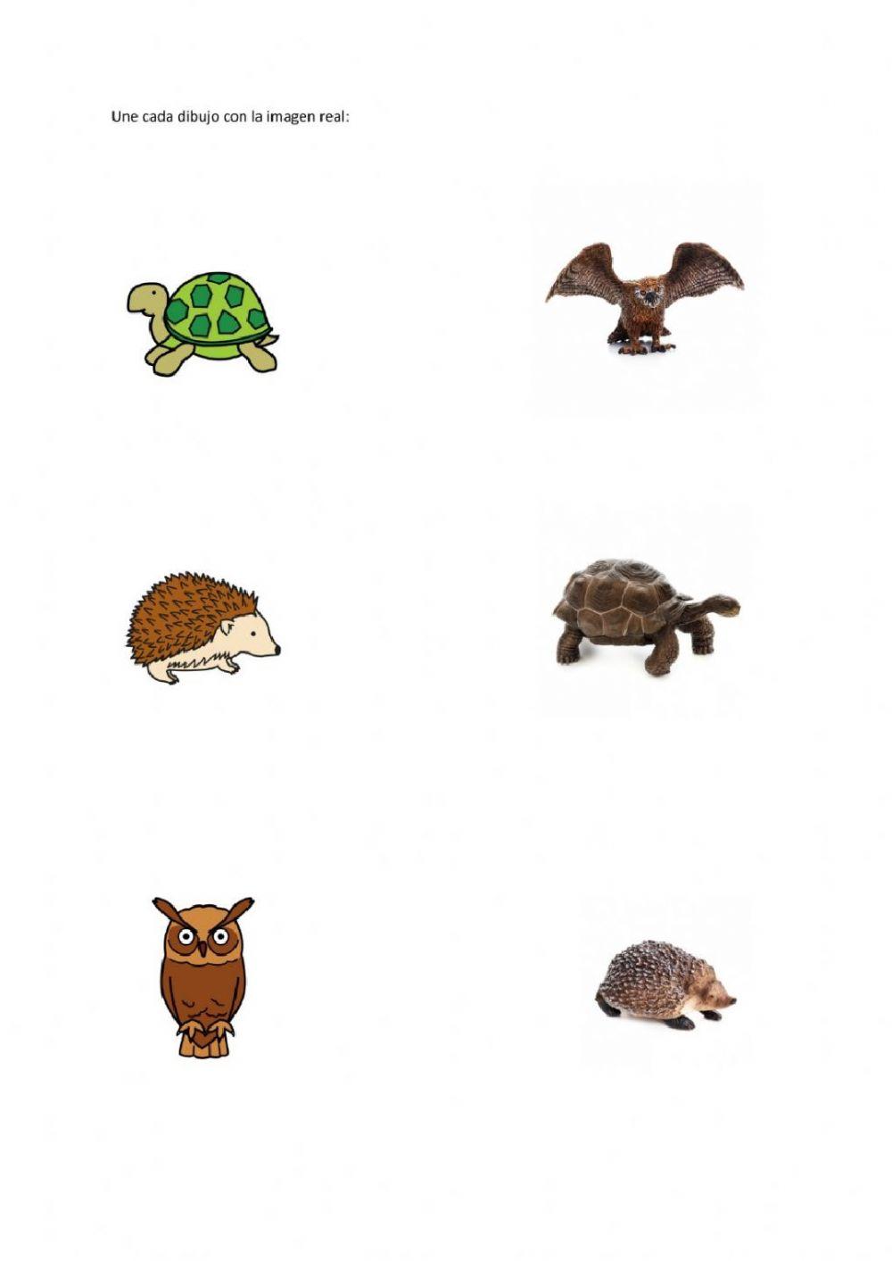 Hasta que podamos abrazarnos