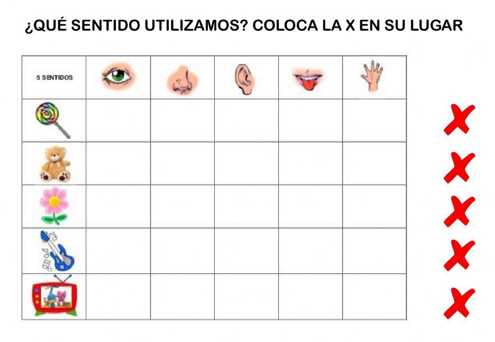 Cuadro 5 sentidos