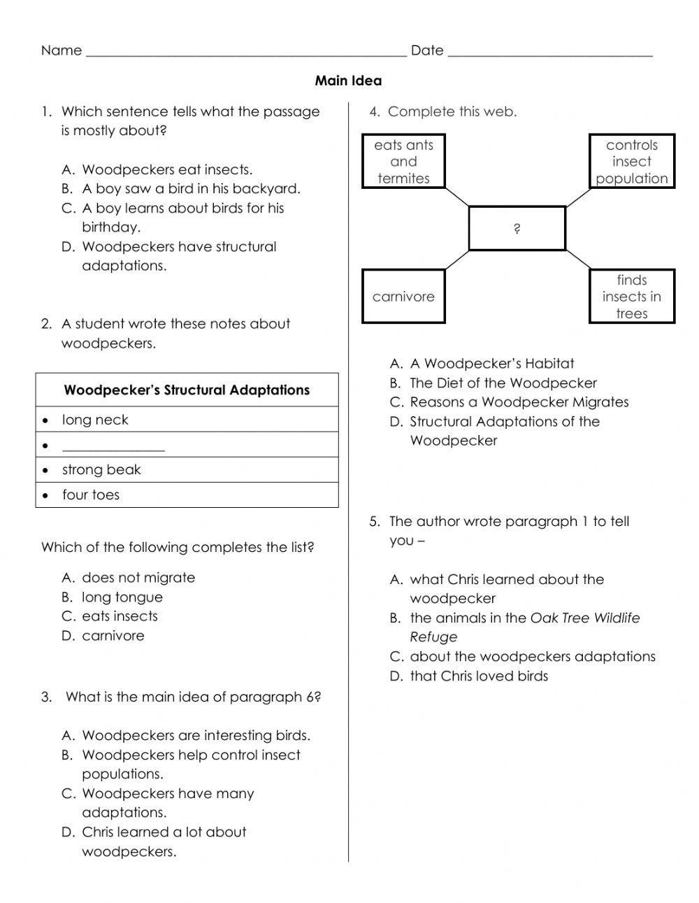 Birds Main Idea Practice