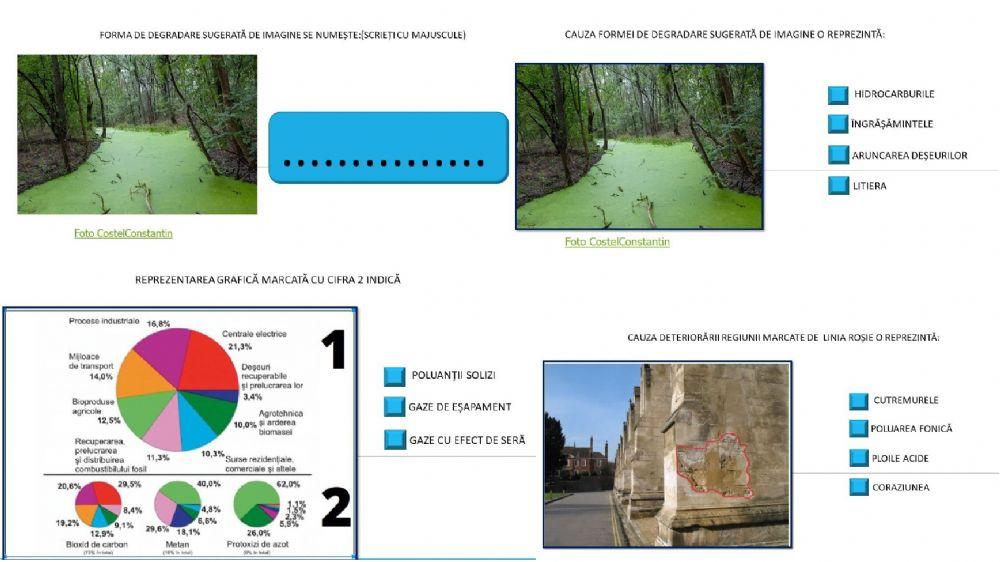 Test -forme de degradare a mediului