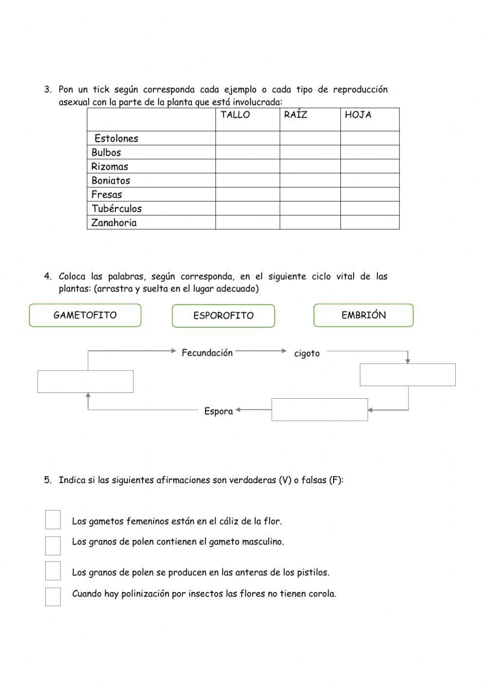 Reproducción plantas