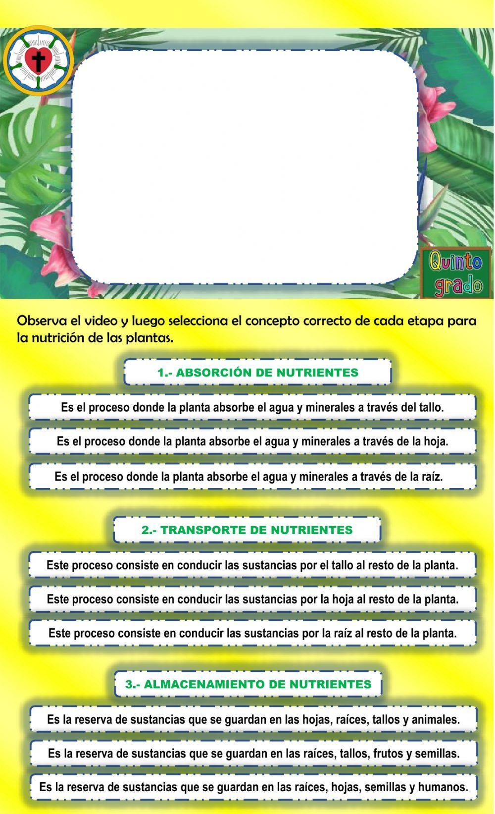 Nutrición de las plantas