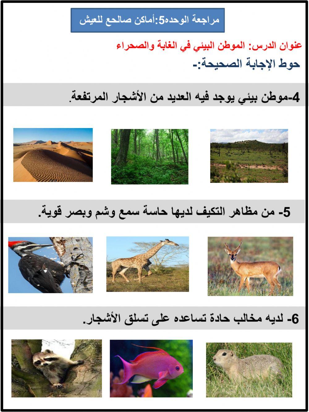 مراجعة وحدة أماكن صالحه للعيش