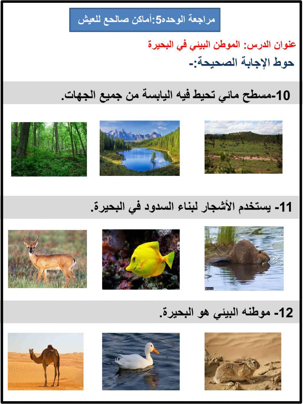 مراجعة وحدة أماكن صالحه للعيش