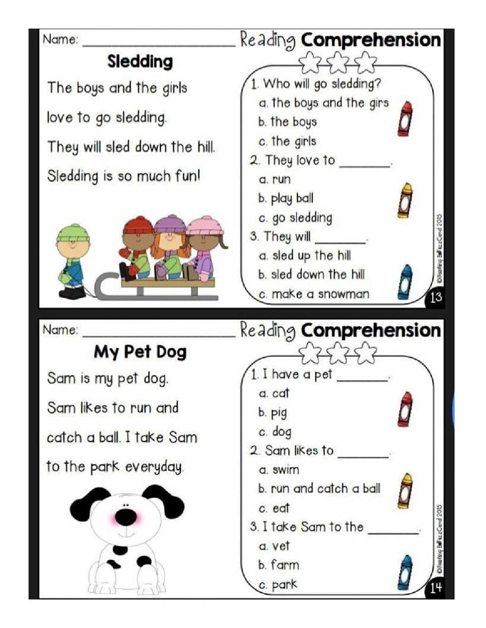 Reading Comprehension online exercise for | Live Worksheets