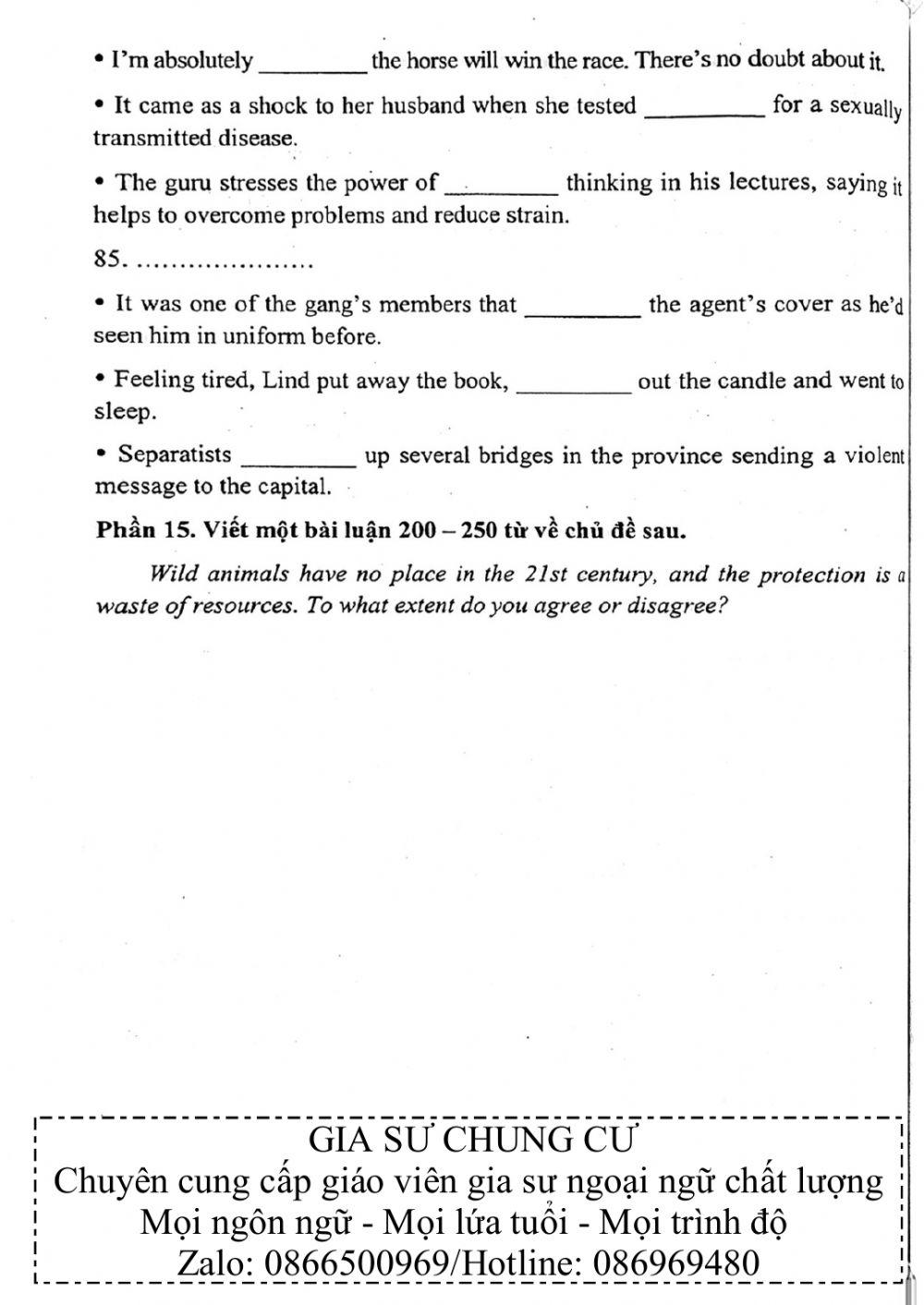 Đề thi đánh giá năng lực ngoại ngữ Tiếng Anh vào lớp 10 Chuyên ngoại ngữ - Số 4.2