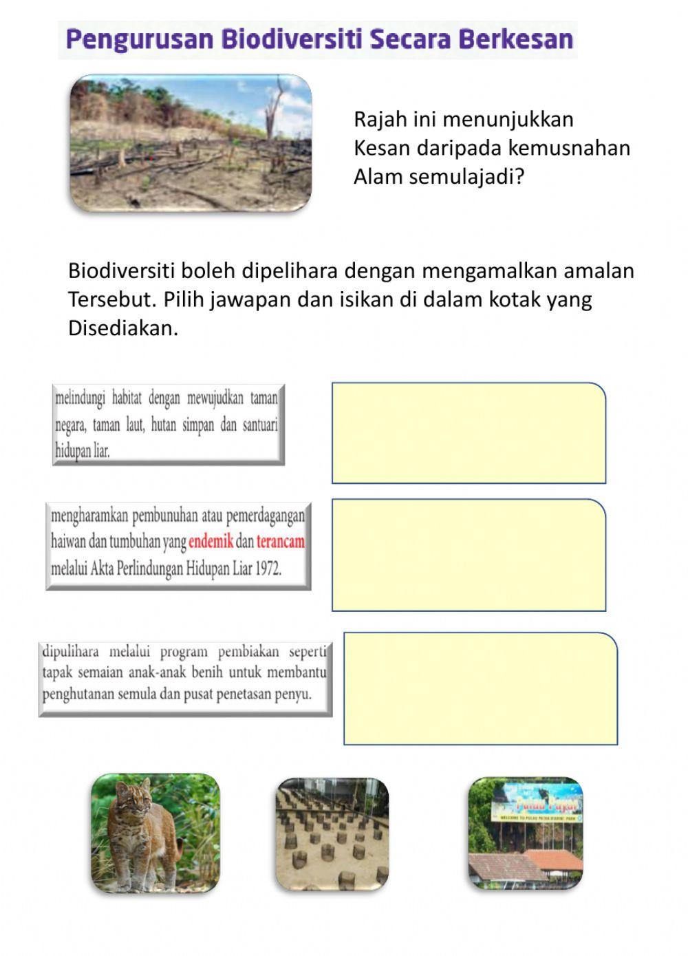 Sains Biodiversiti