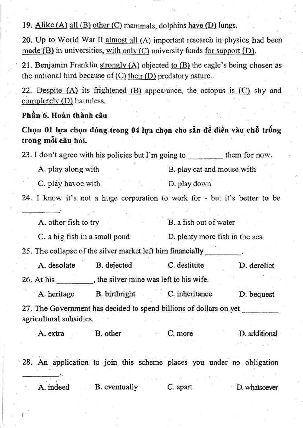Đề thi đánh giá năng lực ngoại ngữ Tiếng Anh vào lớp 10 Chuyên ngoại ngữ - Số 6.1