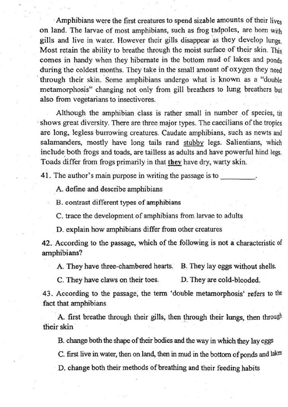 Đề thi đánh giá năng lực ngoại ngữ Tiếng Anh vào lớp 10 Chuyên ngoại ngữ - Số 6.1