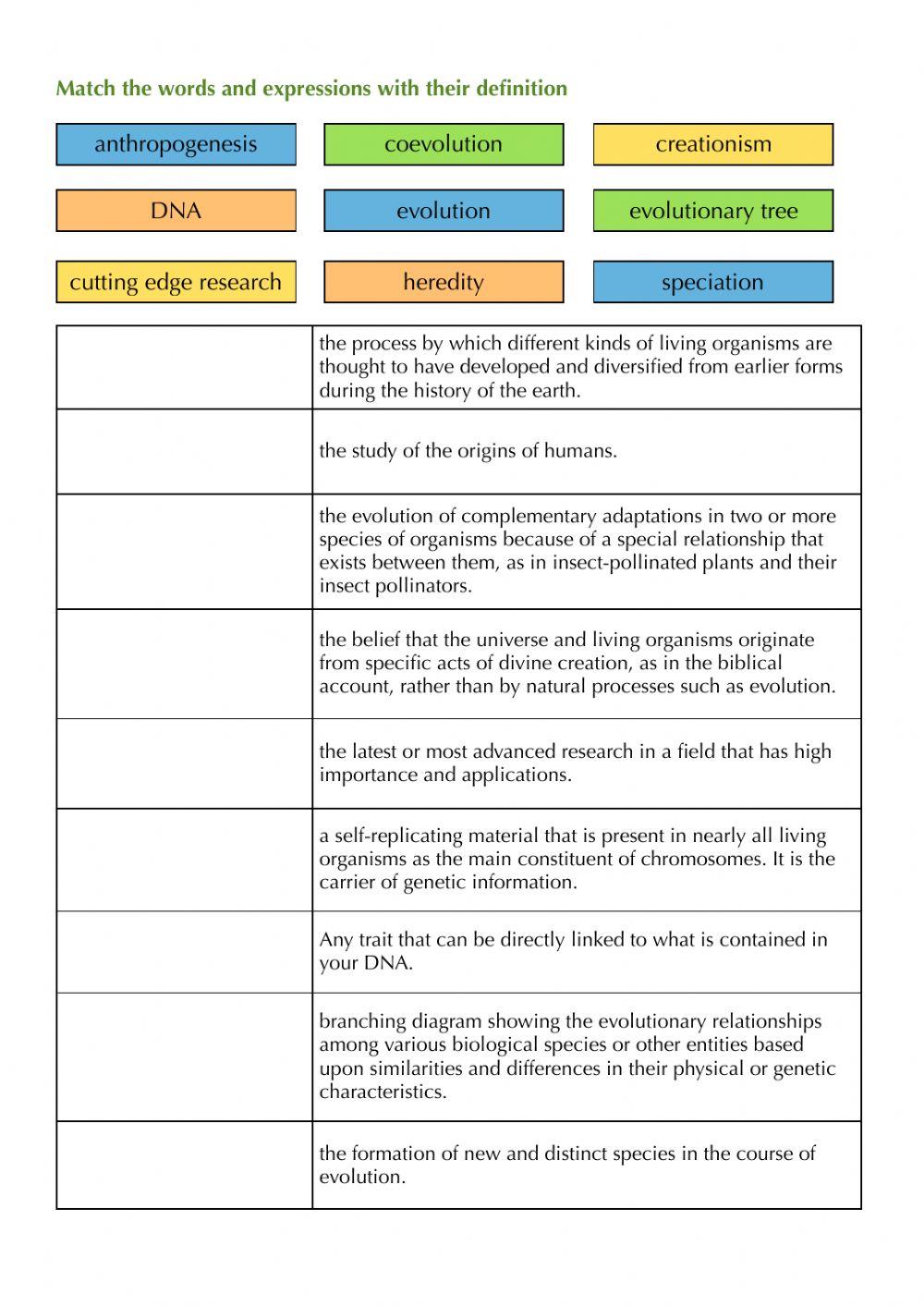 656026 Evolution vocabulary Brachet LiveWorksheets