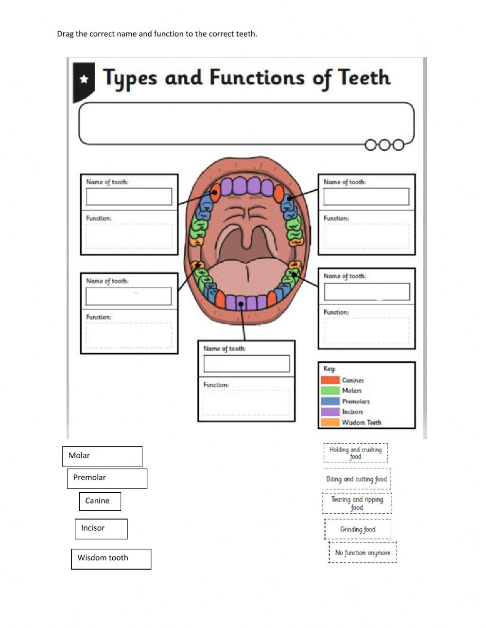 SID Science Week 4 Lesson 2