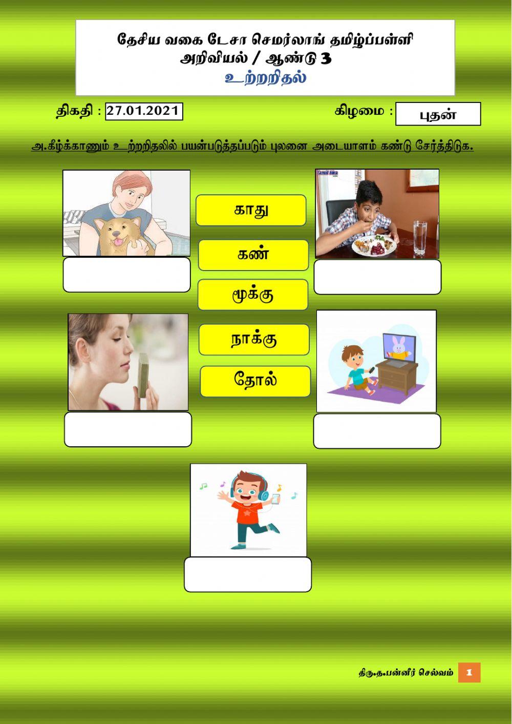 அறிவியல் -உற்றறிதல் ஆண்டு 3 (த.பன்னீர்)