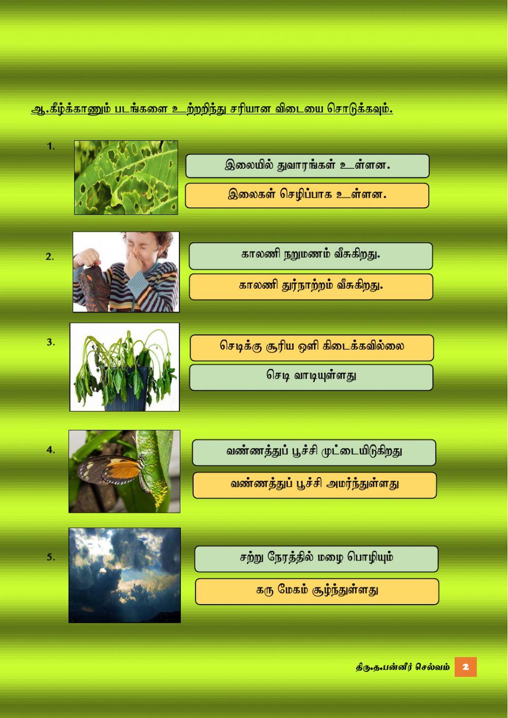 அறிவியல் -உற்றறிதல் ஆண்டு 3 (த.பன்னீர்)