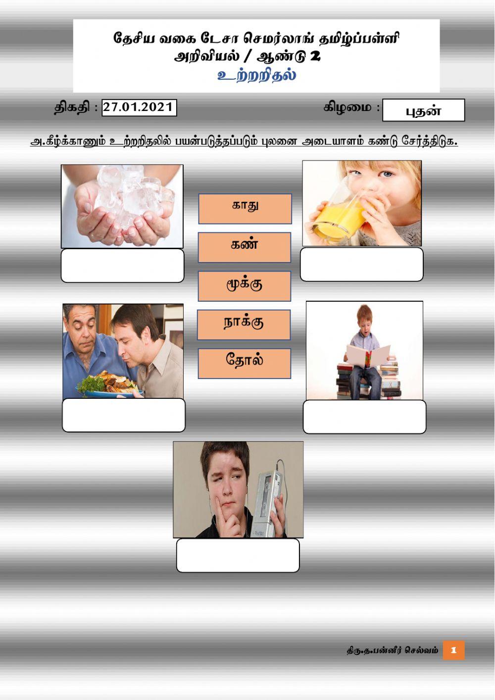 அறிவியல் -உற்றறிதல் ஆண்டு 2 (த.பன்னீர்)