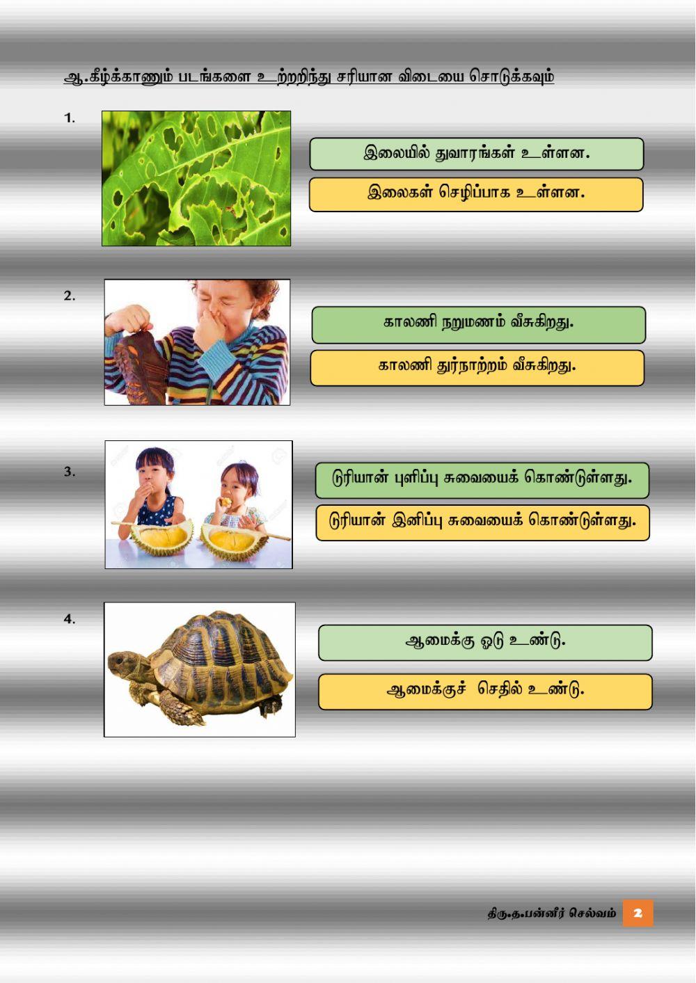 அறிவியல் -உற்றறிதல் ஆண்டு 2 (த.பன்னீர்)