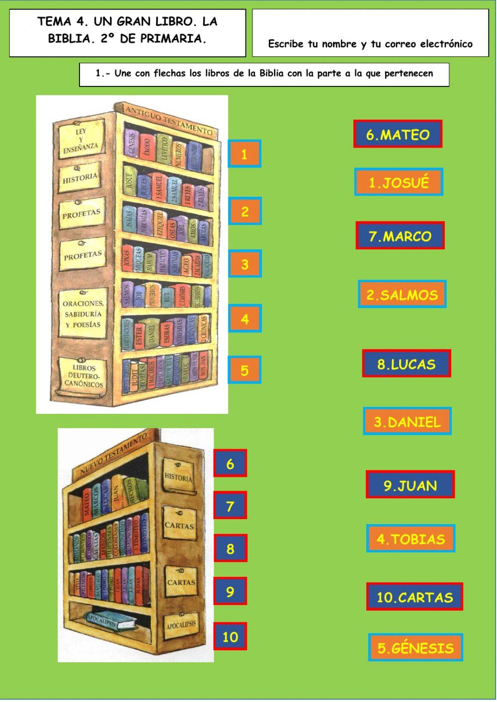 Tema 4. Un gran Libro. La Biblia.2º Primaria Tierno Galván