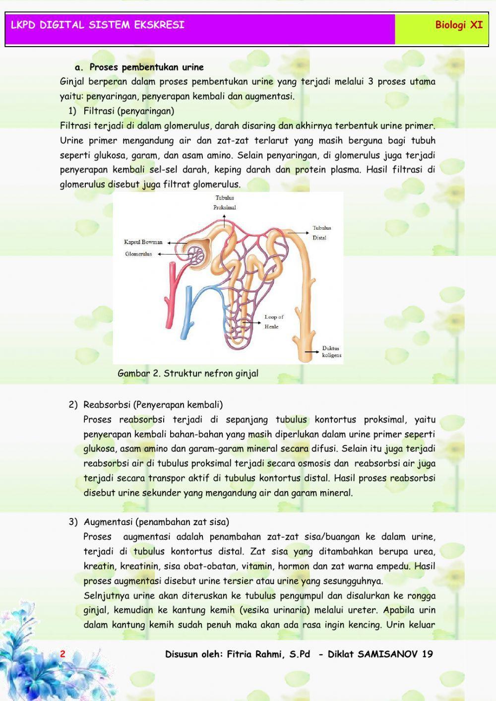 LKPD Sistem Ekskresi Manusia
