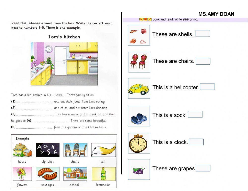 Starters Test - Reading and Writing