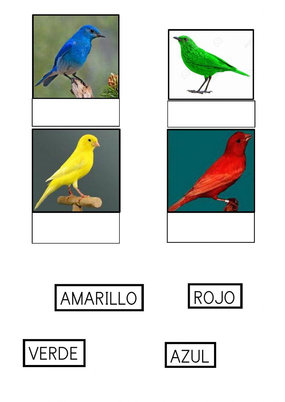 Lectura global de los colores