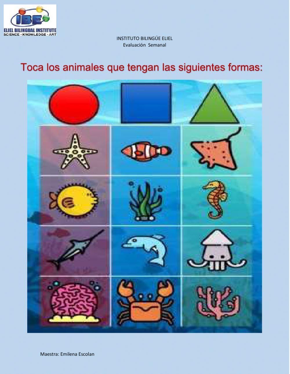 Conocimiento básicos