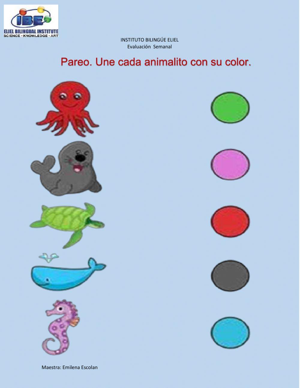 Conocimiento básicos