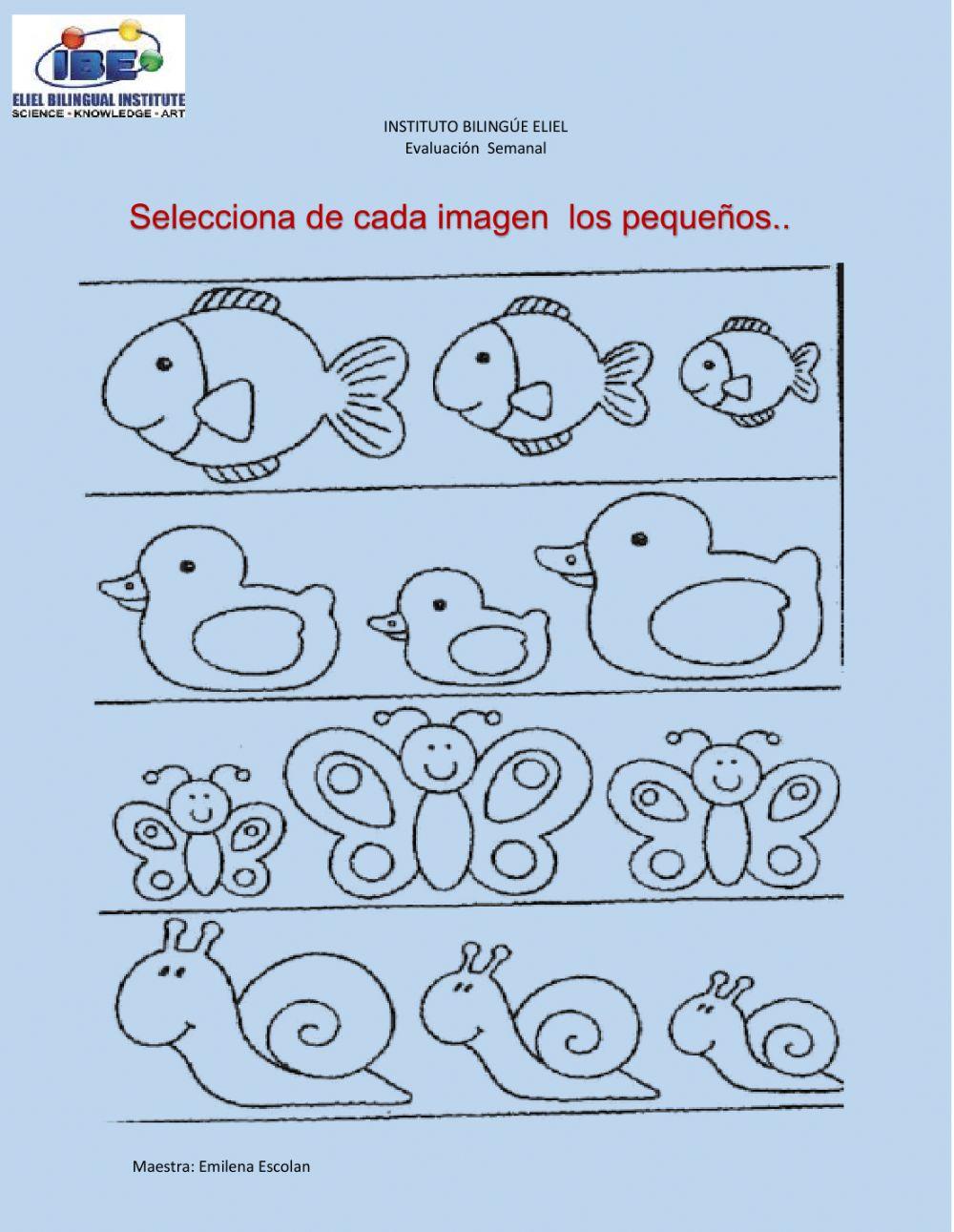 Conocimiento básicos