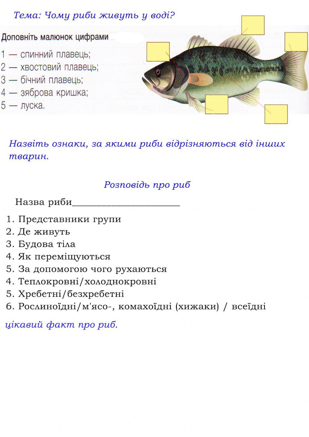 Чому риби живуть у воді?