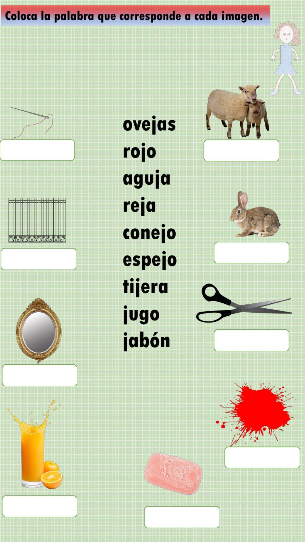 Coloca la palabra con la imagen correspondiente.