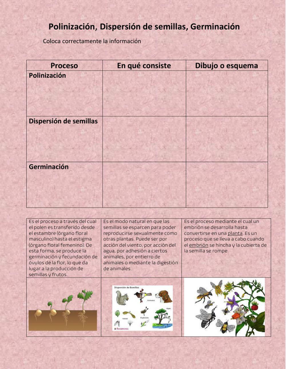 Polinización, germinación, dispersión