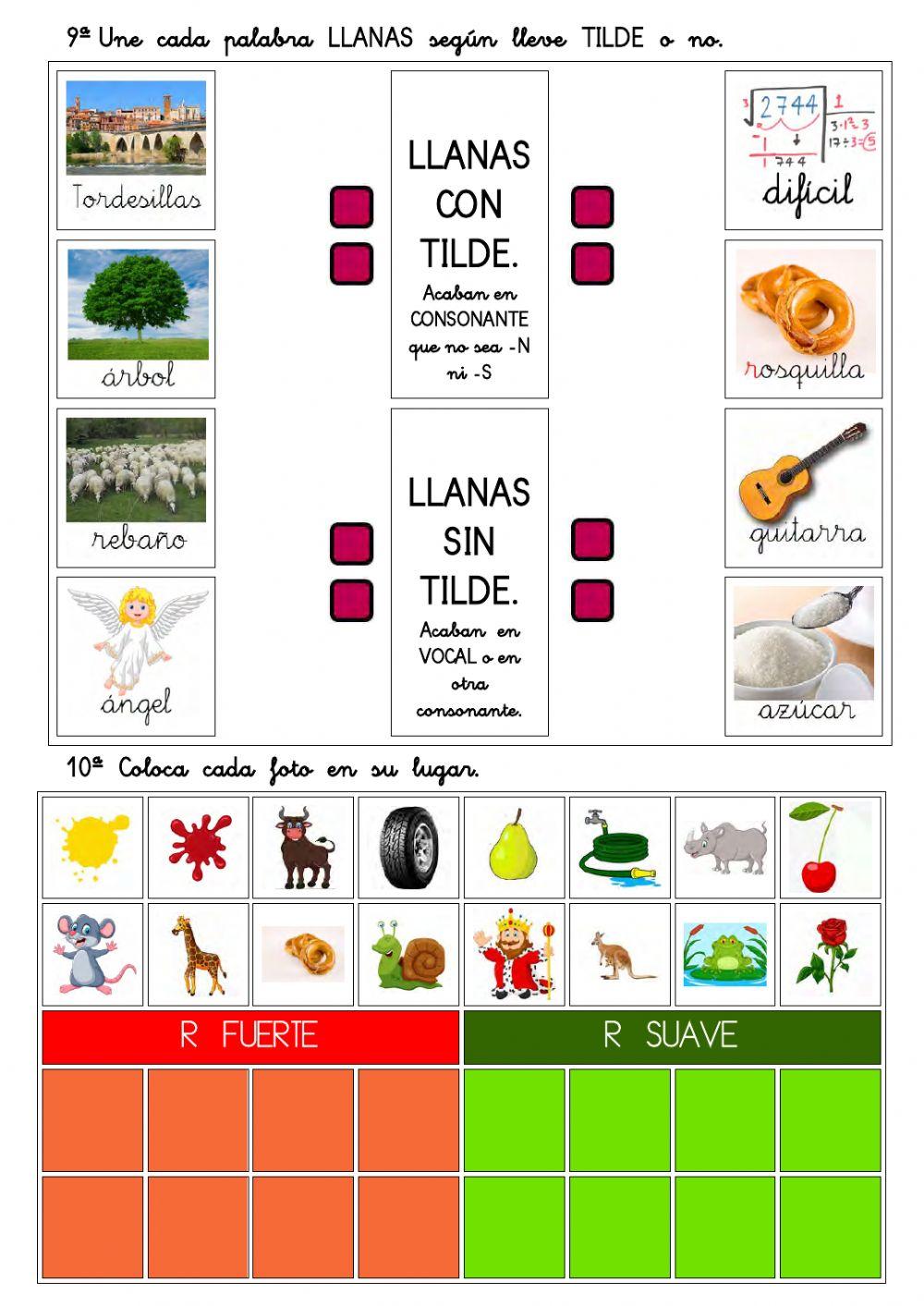 Comprensión lectora 3º EP 011.- SEIS REINOS. Palabras llanas y con R
