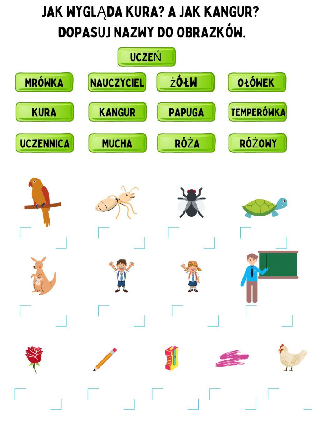 JAK WYGLĄDA KURA? A JAK KANGUR? DOPASUJ NAZWY DO OBRAZKÓW.