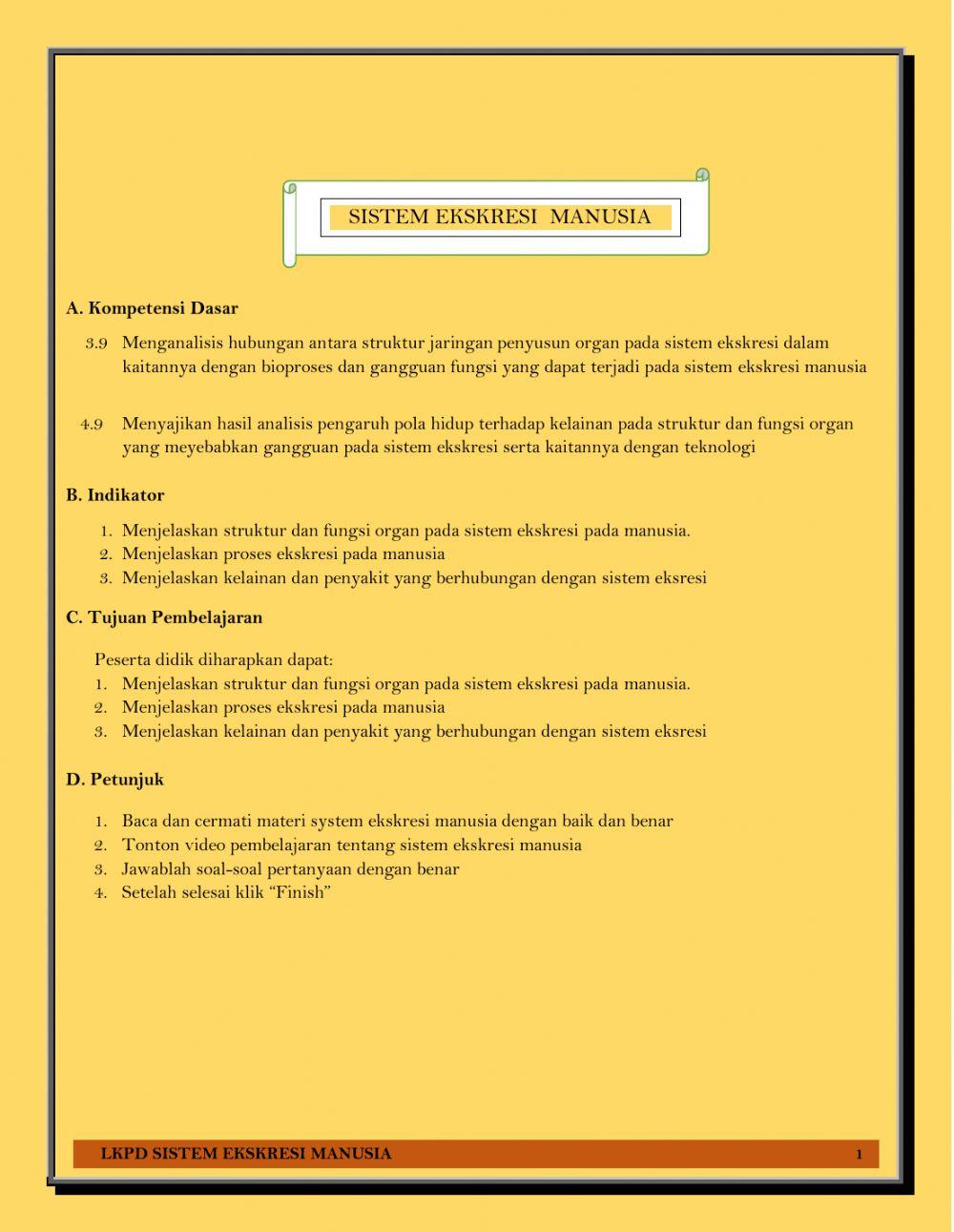 Sistem ekskresi manusia