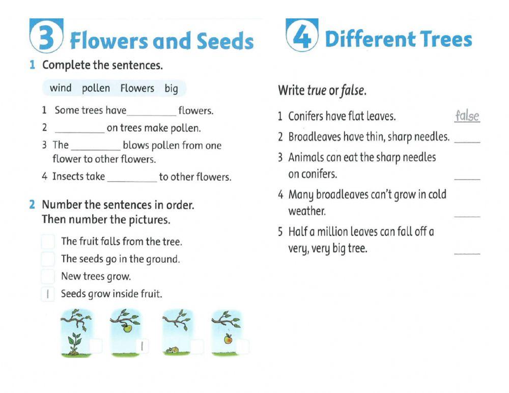 Reading 3 Exercise - Tree