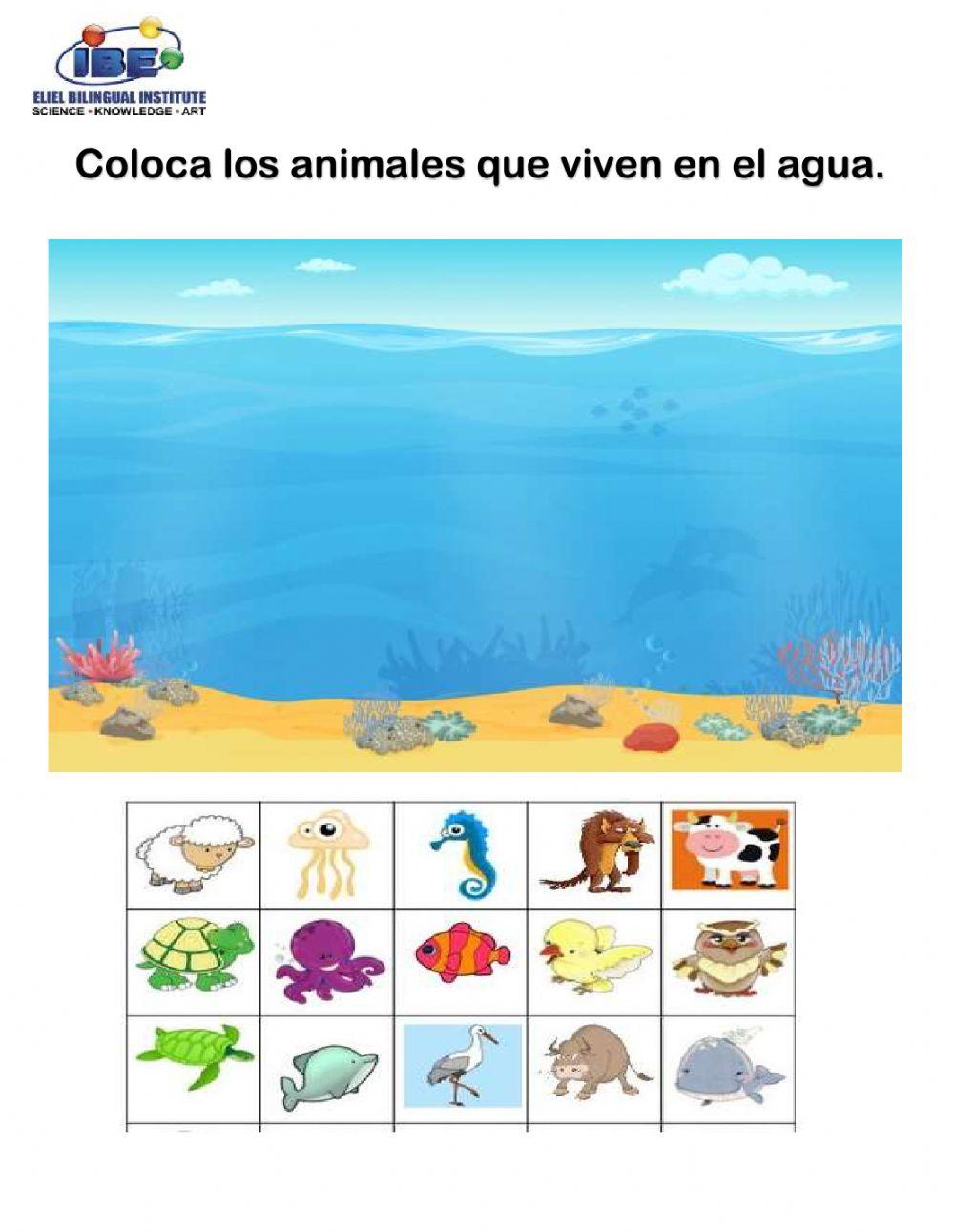 Conocimiento del medio