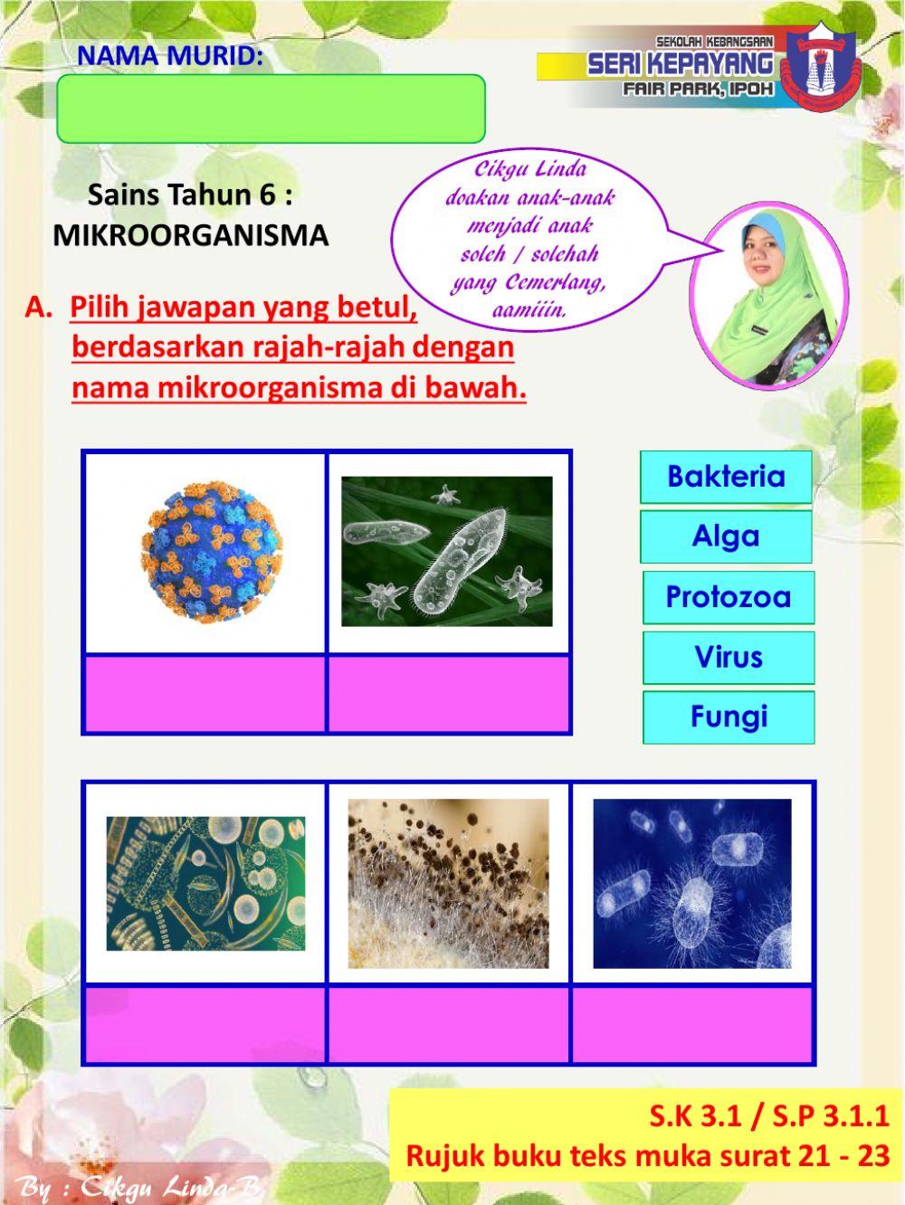Sains Tahun 6 : Mikroorganisma